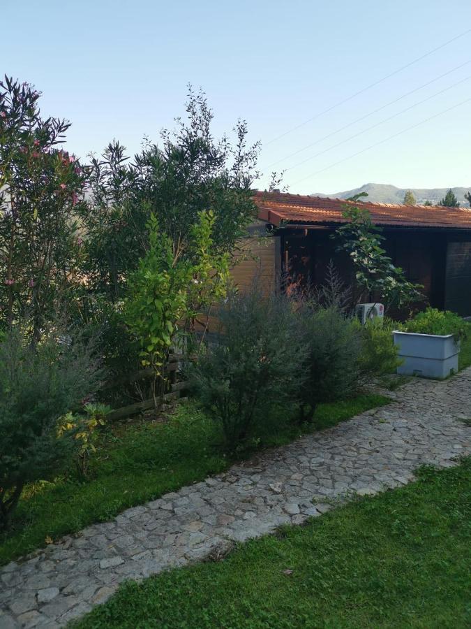 Casa Do Casal Leilighet Arouca Eksteriør bilde